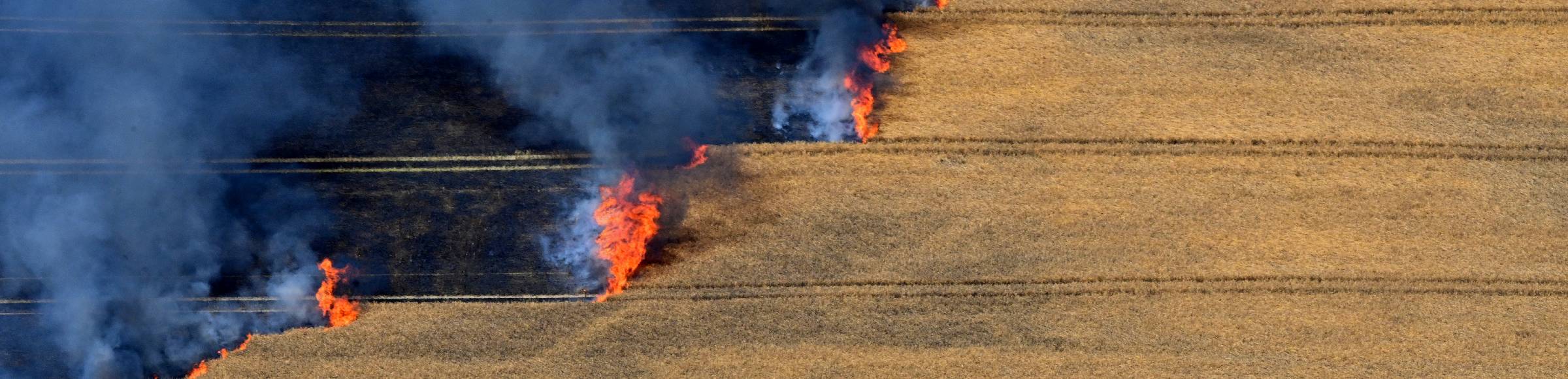 Smoke clouds of a fire in a cornfield in Schwanebeck in the state Brandenburg, Germany